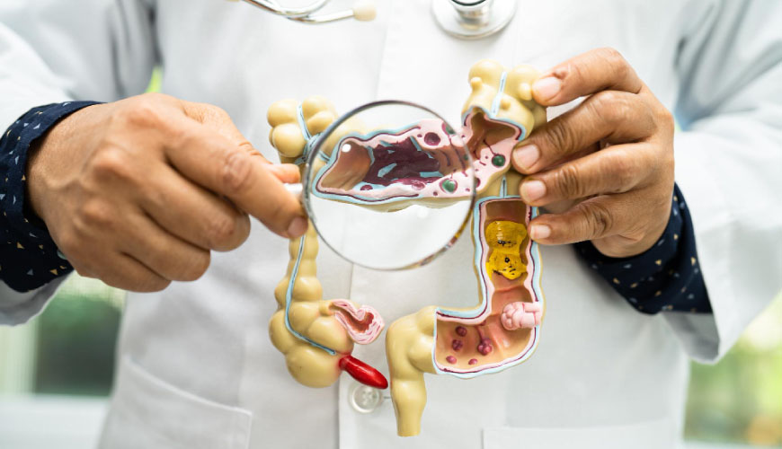 Chirurgie Digestive et Proctologique à la Clinique Echifa Djerba